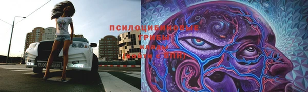 таблы Богданович