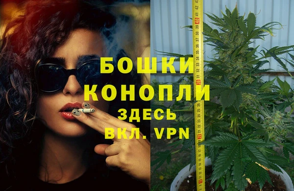 тгк Богородск