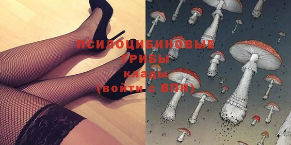 таблы Богданович