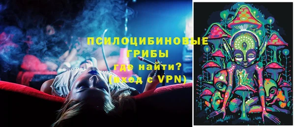 таблы Богданович